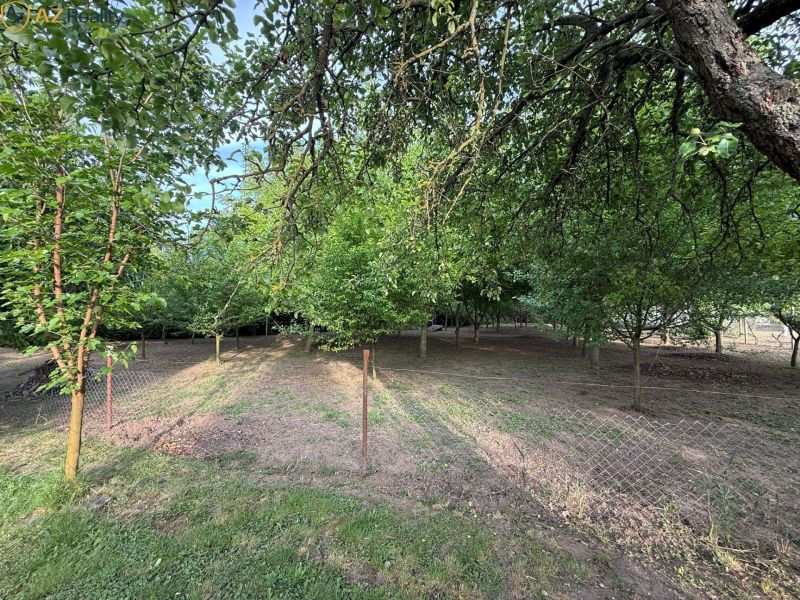 Sale Land – for living, Land – for living, Nové Zámky, Slovakia