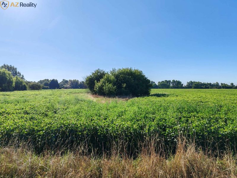 Sale Land plots - commercial, Land plots - commercial, Komárno, Slovak